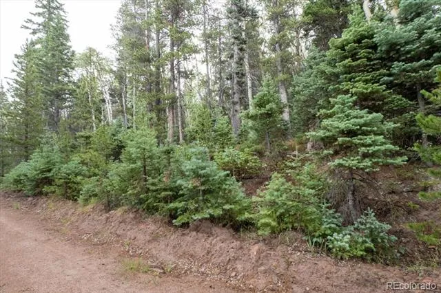 Lot 2260 Speciale Place Fort Garland, CO 81133