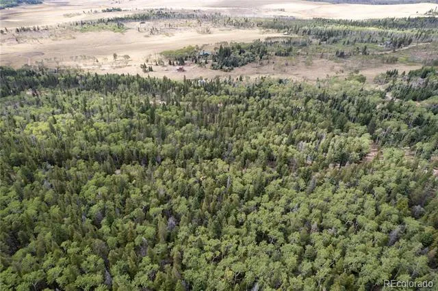 Lot 2260 Speciale Place Fort Garland, CO 81133