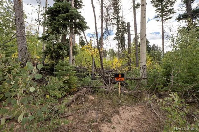 Lot 2260 Speciale Place Fort Garland, CO 81133