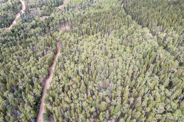 Lot 2260 Speciale Place Fort Garland, CO 81133