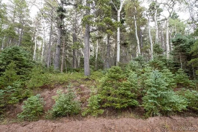 Lot 2260 Speciale Place Fort Garland, CO 81133