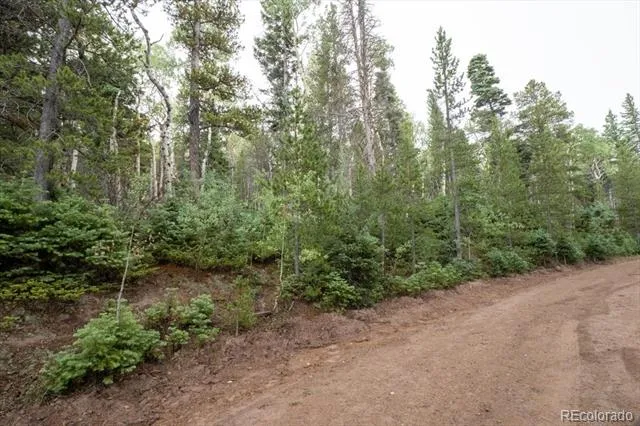 Lot 2260 Speciale Place Fort Garland, CO 81133