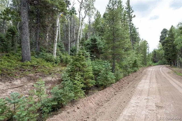 Lot 2260 Speciale Place Fort Garland, CO 81133