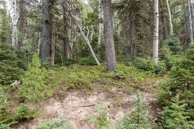 Lot 2260 Speciale Place Fort Garland, CO 81133
