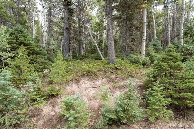 Lot 2260 Speciale Place Fort Garland, CO 81133