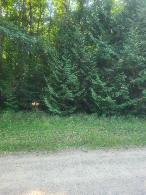 Birchwood Trail