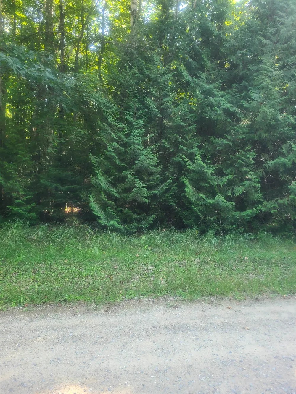 Birchwood Trail Oscoda Charter Township, MI 48750