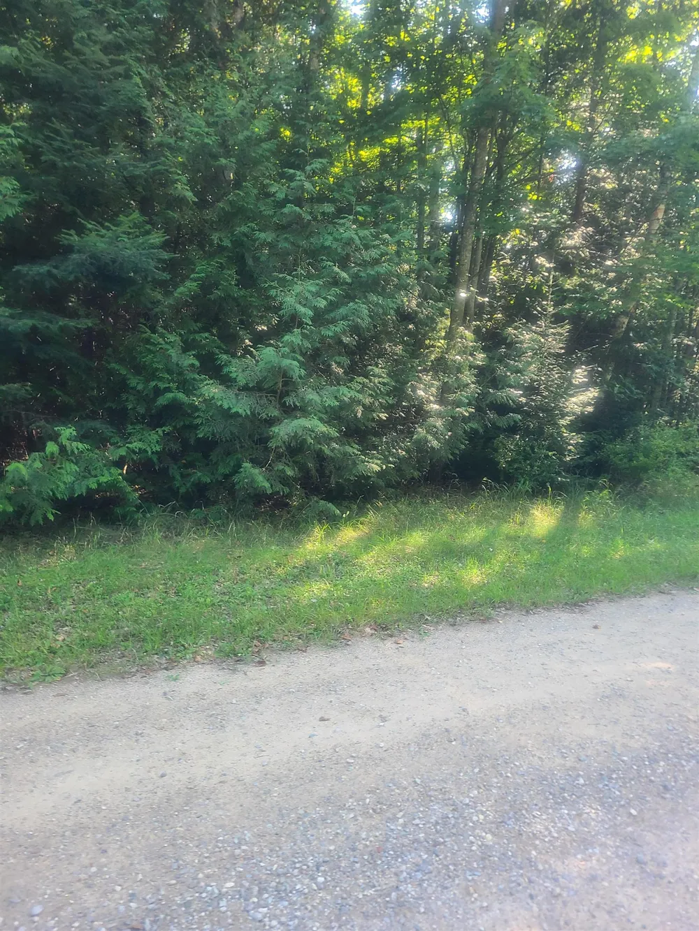 Birchwood Trail Oscoda Charter Township, MI 48750