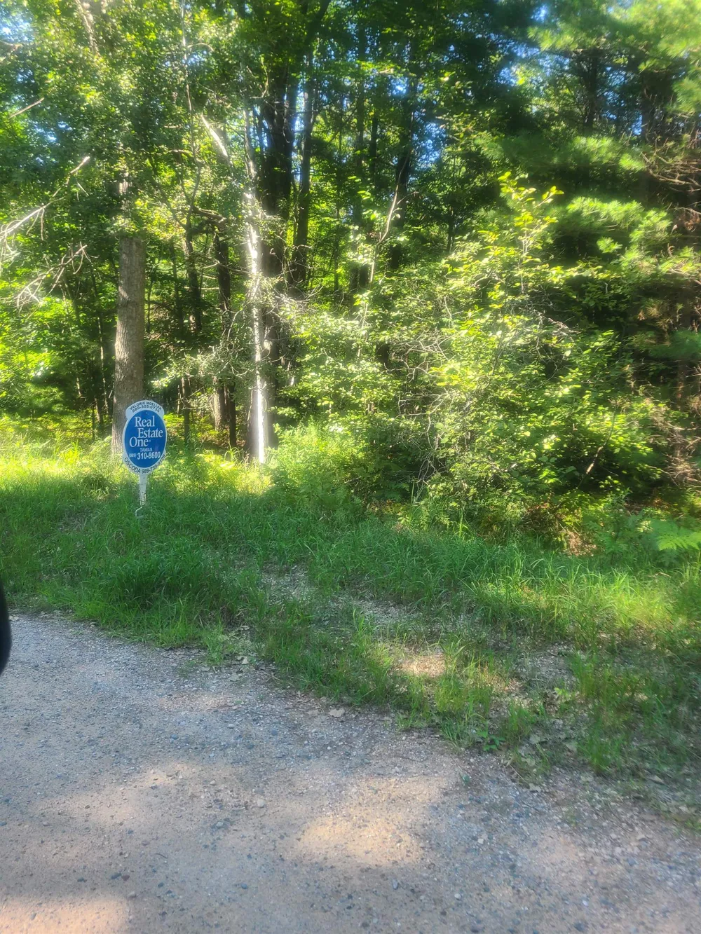 Birchwood Trail Oscoda Charter Township, MI 48750