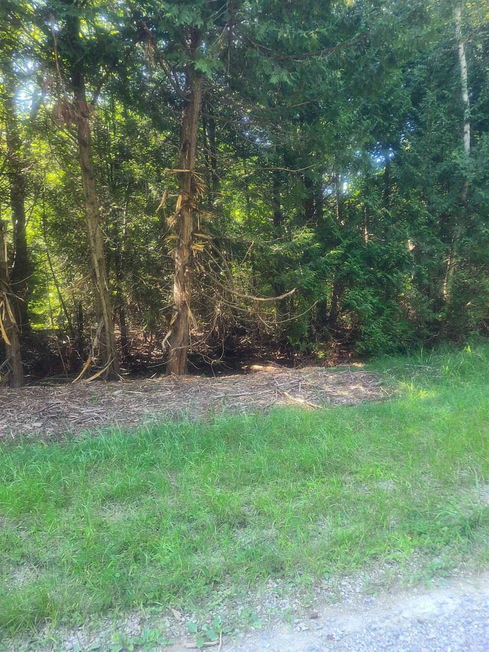 Birchwood Trail Oscoda Charter Township, MI 48750