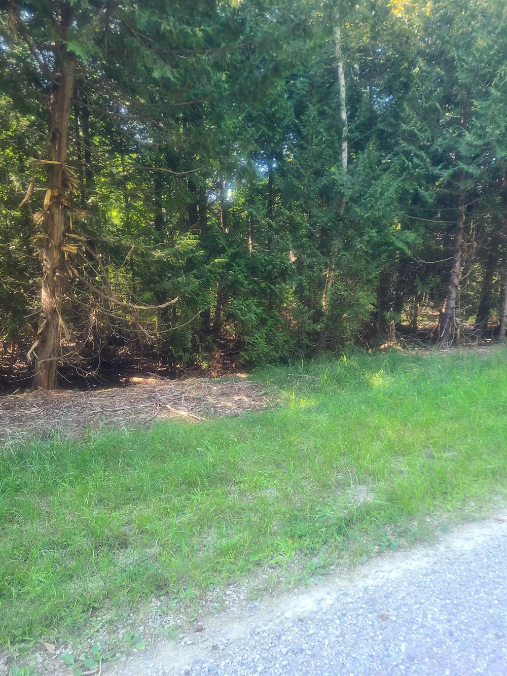 Birchwood Trail Oscoda Charter Township, MI 48750