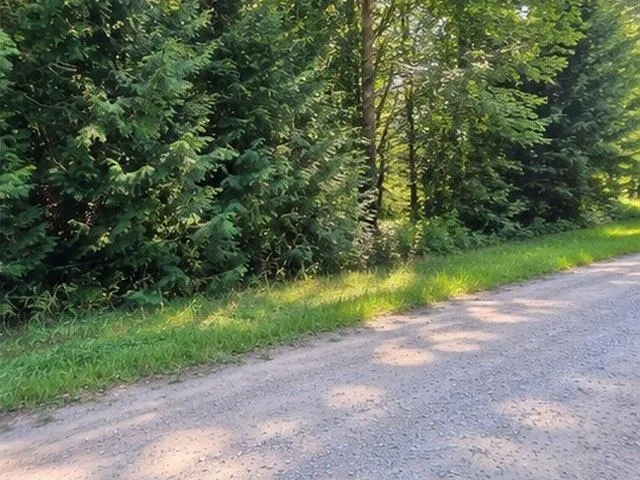 Birchwood Trail Oscoda Charter Township, MI 48750