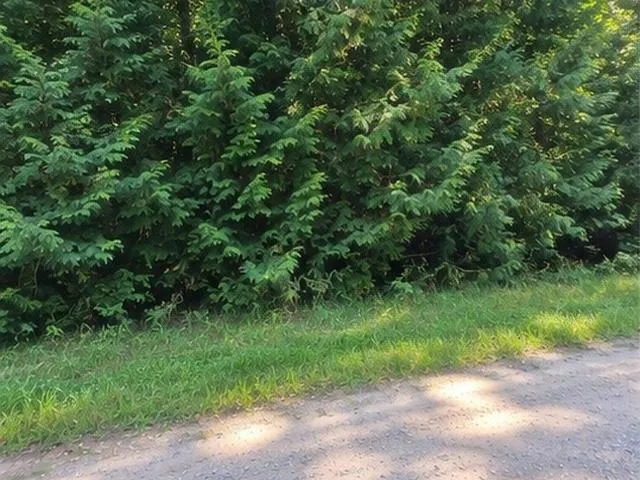 Birchwood Trail Oscoda Charter Township, MI 48750