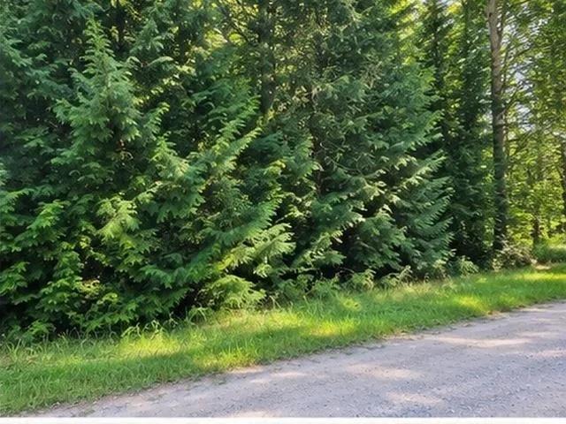Birchwood Trail Oscoda Charter Township, MI 48750