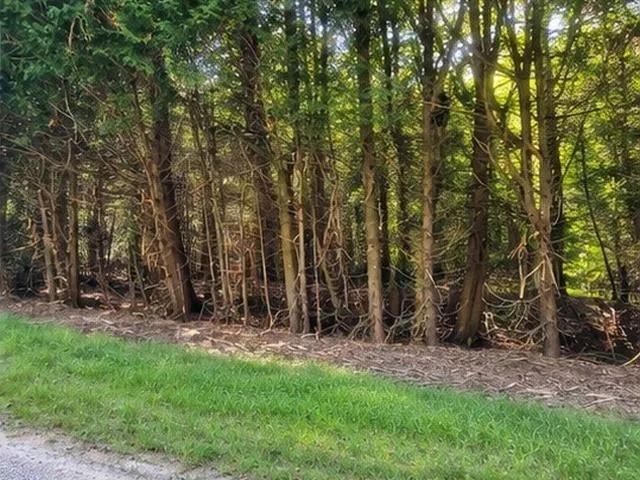 Birchwood Trail Oscoda Charter Township, MI 48750