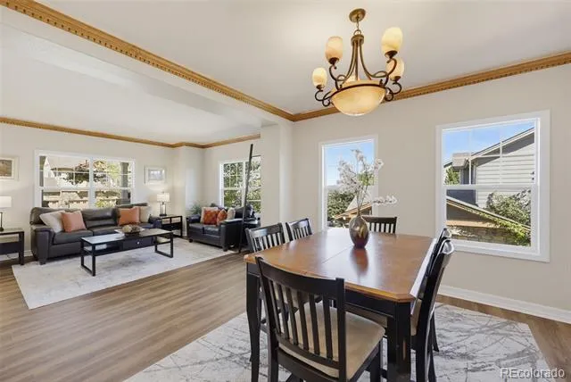 1610 Ridgetrail Court Castle Rock, CO 80104
