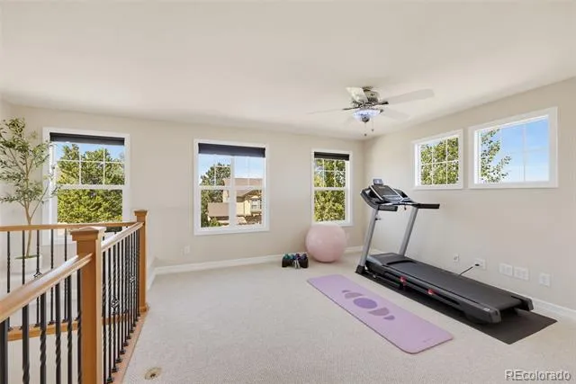 1610 Ridgetrail Court Castle Rock, CO 80104