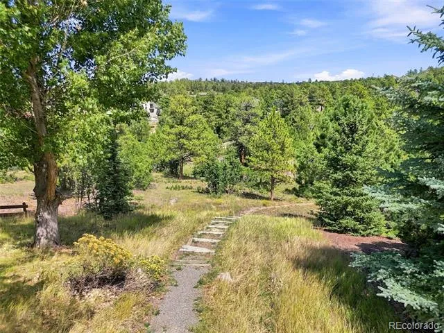 1610 Ridgetrail Court Castle Rock, CO 80104
