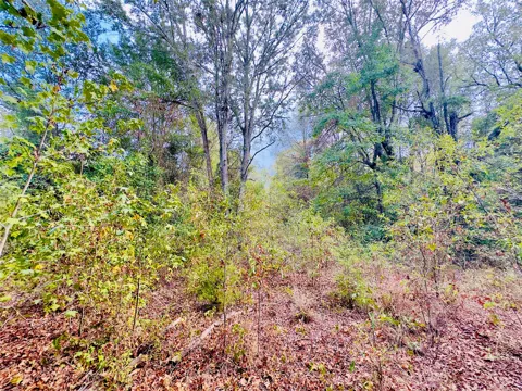 Apple Tree Road