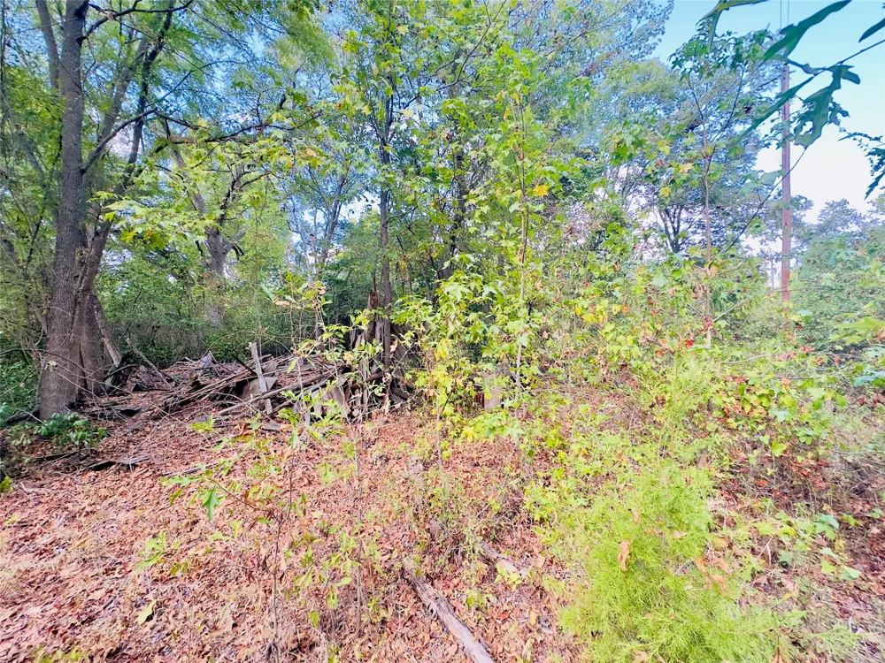 Apple Tree Road Gilmer, TX 75644