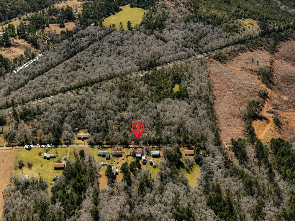 Apple Tree Road Gilmer, TX 75644