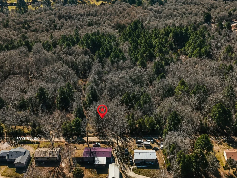 Apple Tree Road Gilmer, TX 75644
