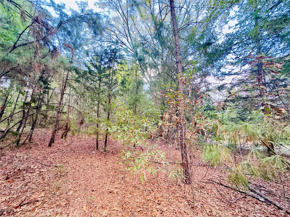Apple Tree Road Gilmer, TX 75644