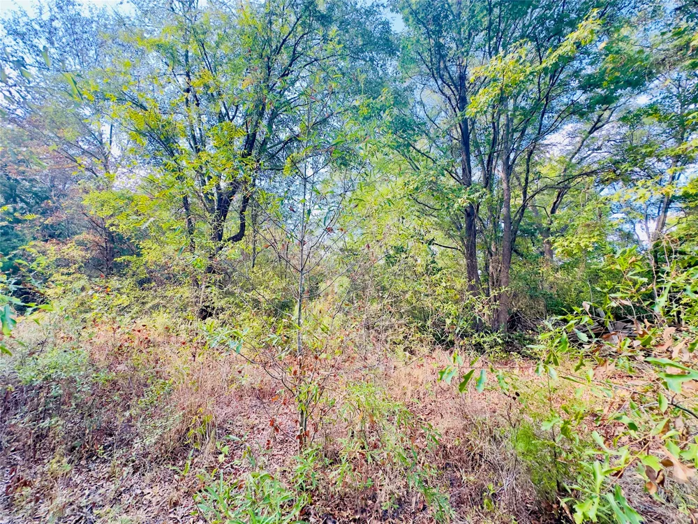Apple Tree Road Gilmer, TX 75644