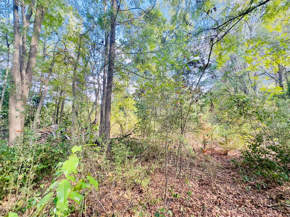 Apple Tree Road Gilmer, TX 75644