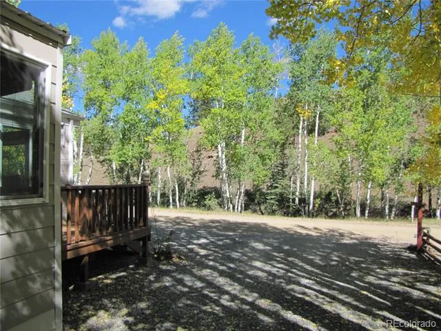 611 Depot Drive Hartsel, CO 80449