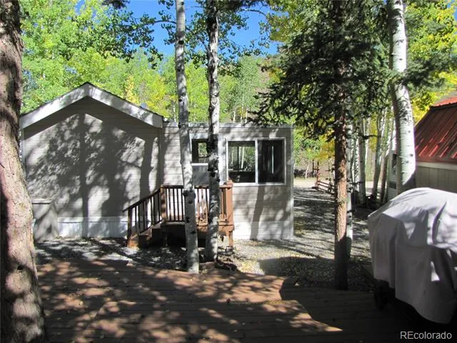 611 Depot Drive Hartsel, CO 80449