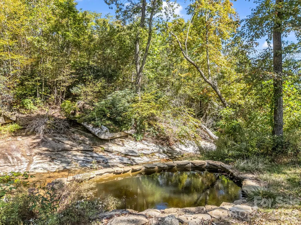 119 Mountain Bluff Trail Hendersonville, NC 28792