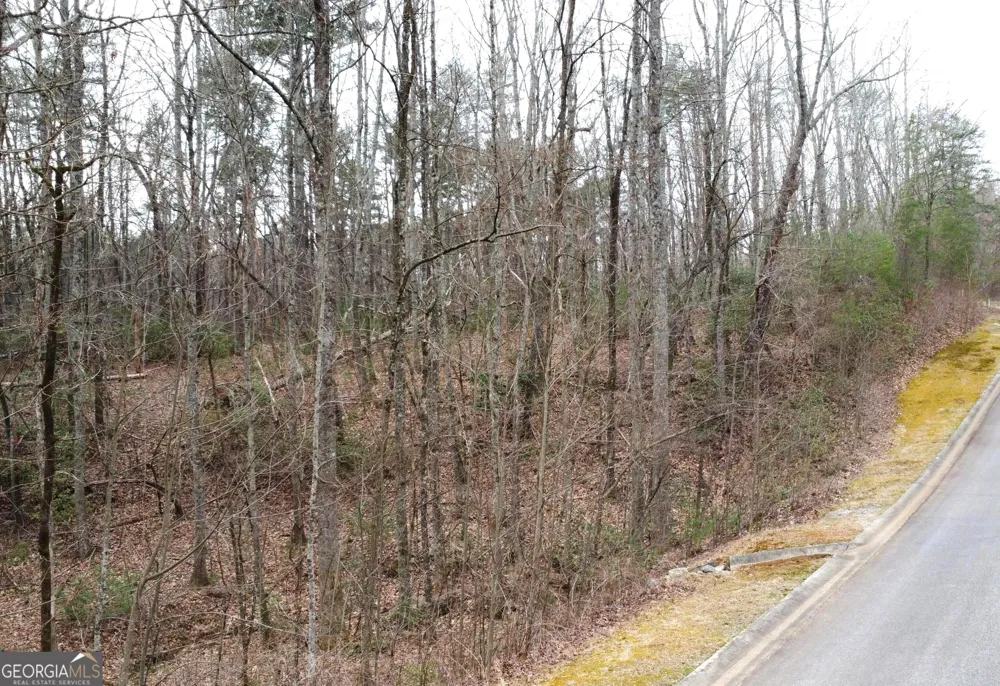 LOT 1446 Glazenwood DR Clarkesville, GA 30523