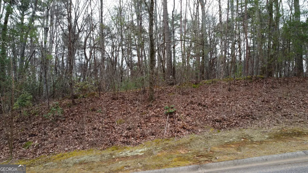 LOT 1446 Glazenwood DR Clarkesville, GA 30523