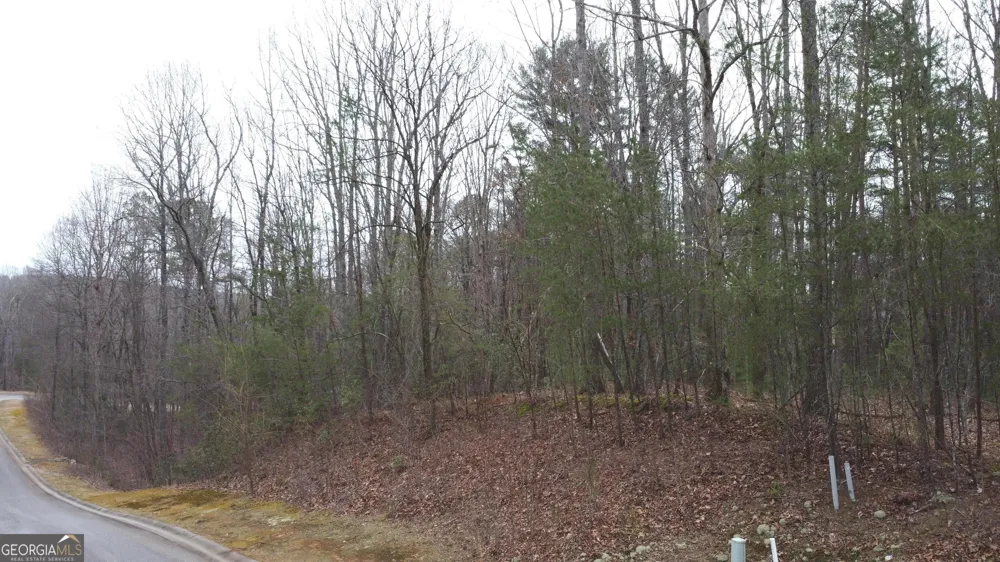 LOT 1446 Glazenwood DR Clarkesville, GA 30523