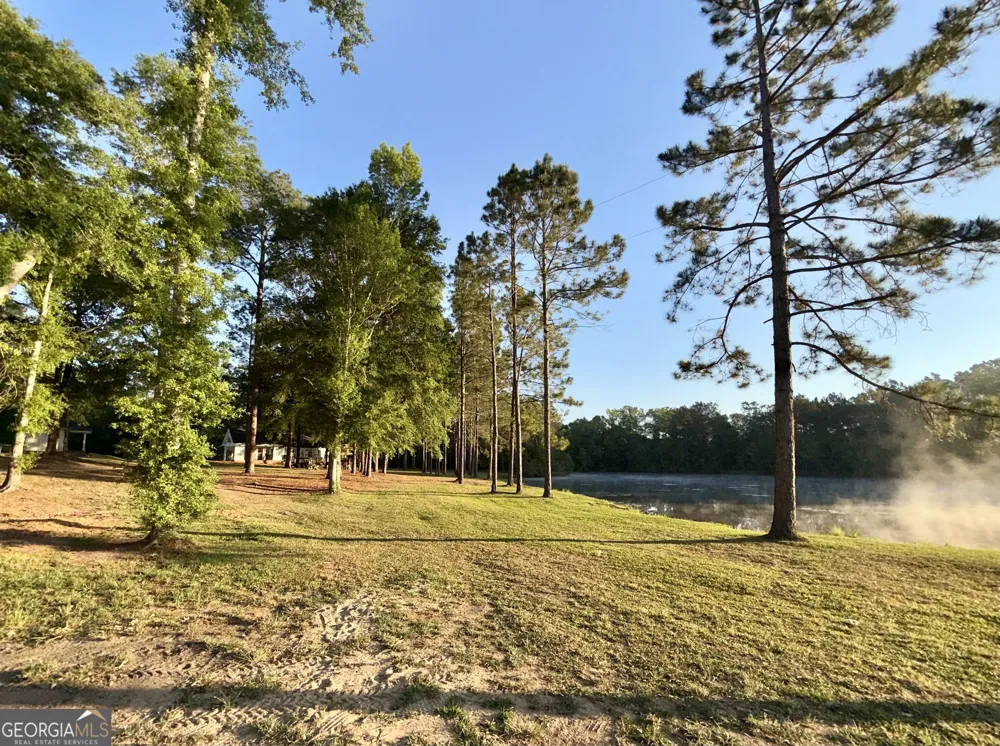 1525 Telfair Line RD Rhine, GA 31077