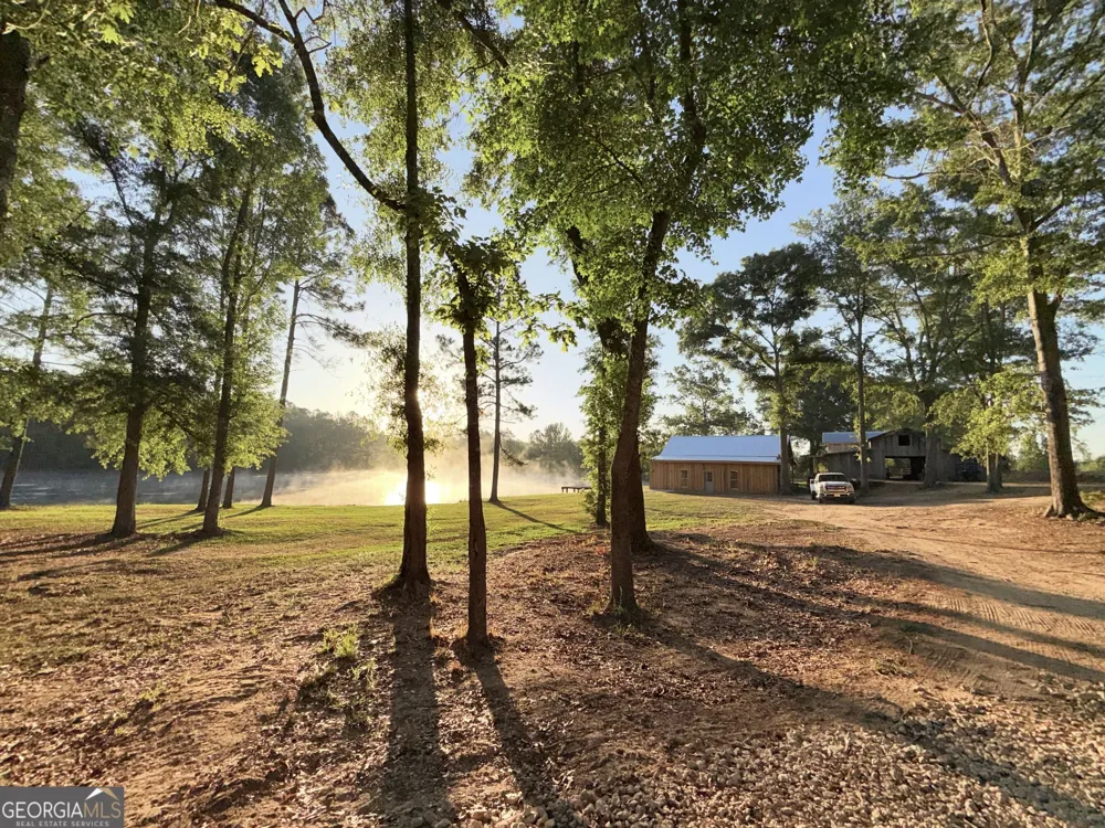 1525 Telfair Line RD Rhine, GA 31077