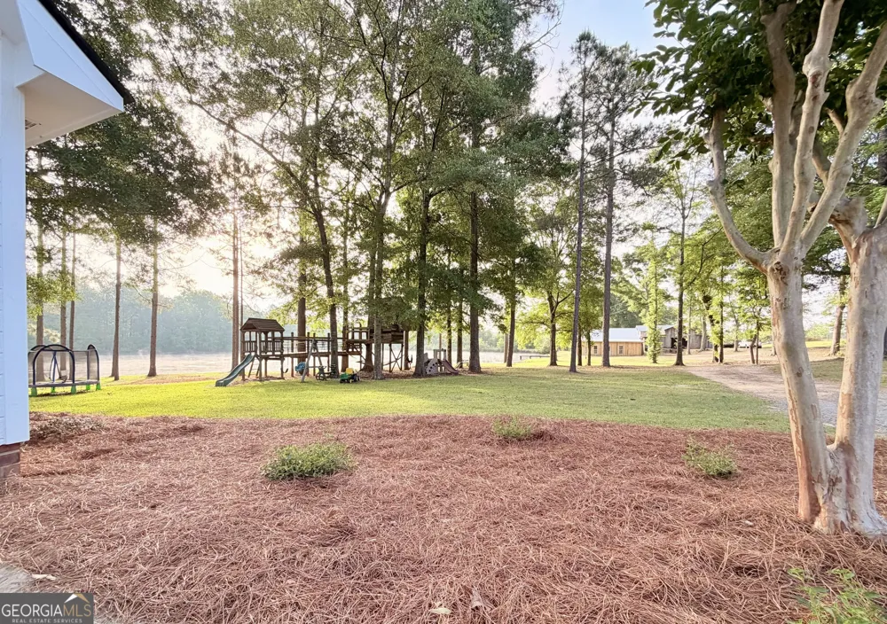 1525 Telfair Line RD Rhine, GA 31077