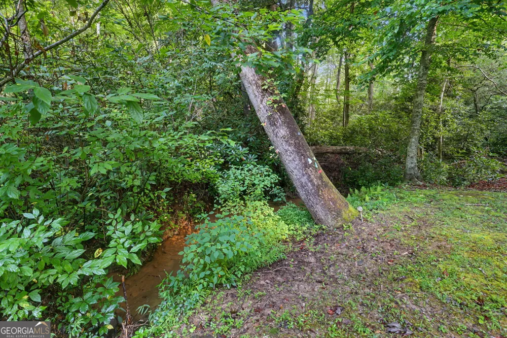 578 Highway 356 Helen, GA 30545