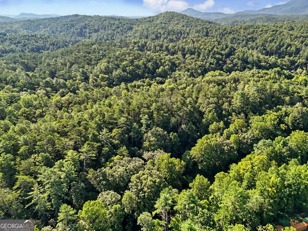 578 Highway 356 Helen, GA 30545