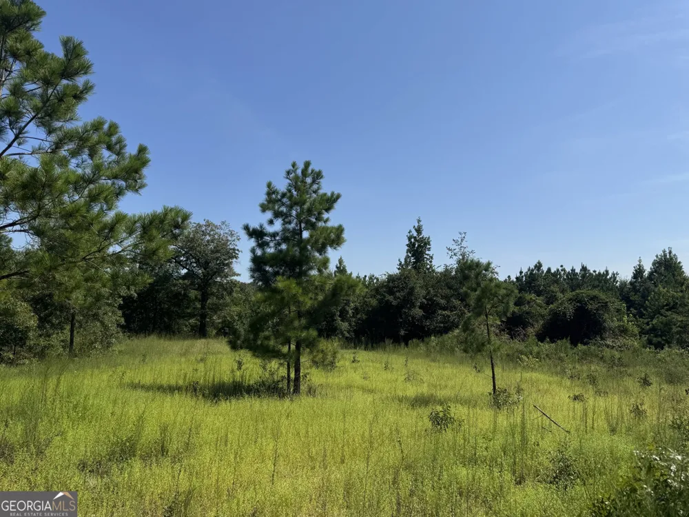 19.521 AC Herman Bell RD Mauk, GA 31058