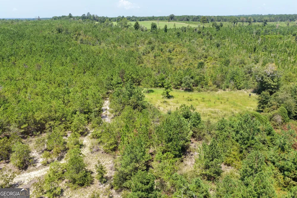 19.521 AC Herman Bell RD Mauk, GA 31058
