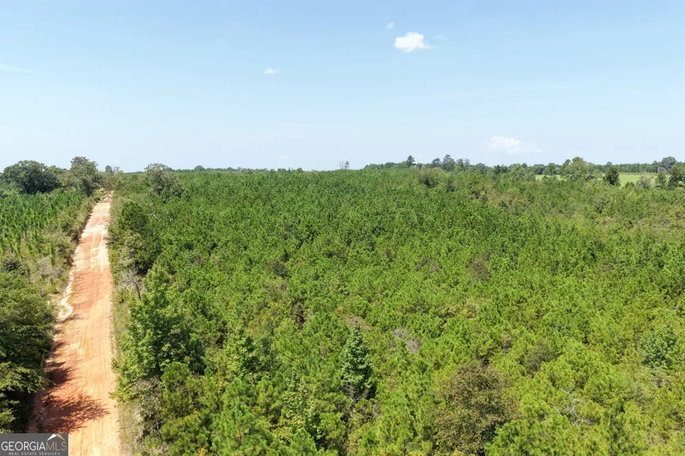 19.521 AC Herman Bell RD Mauk, GA 31058