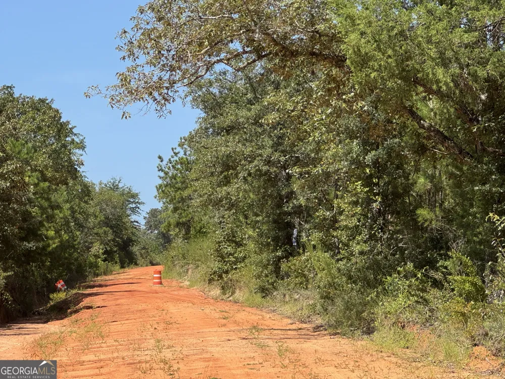 19.521 AC Herman Bell RD Mauk, GA 31058
