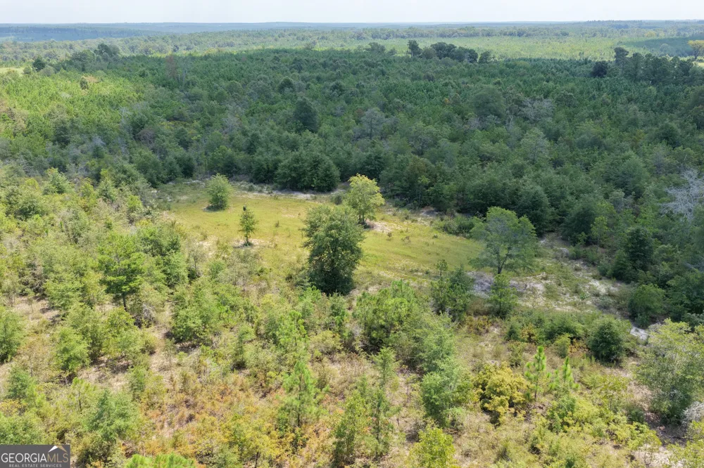 19.521 AC Herman Bell RD Mauk, GA 31058