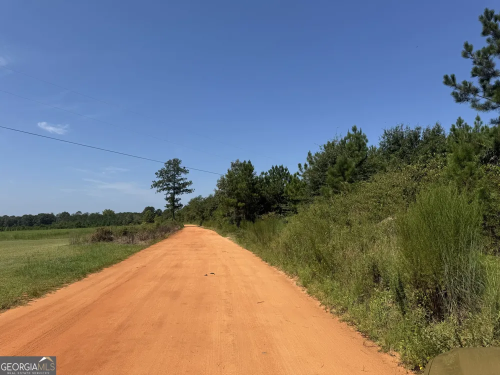 19.521 AC Herman Bell RD Mauk, GA 31058