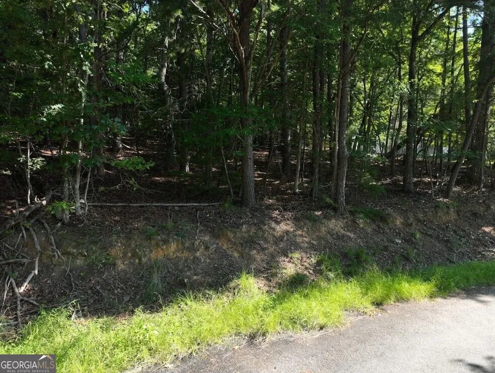 0 Popular DR Blairsville, GA 30512