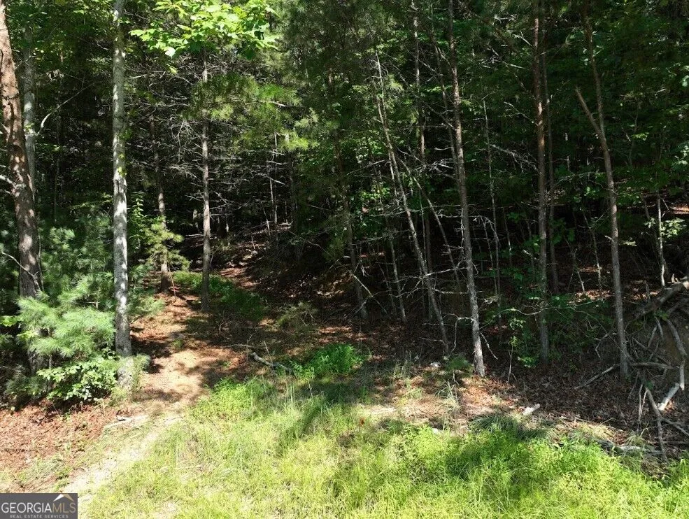 0 Popular DR Blairsville, GA 30512