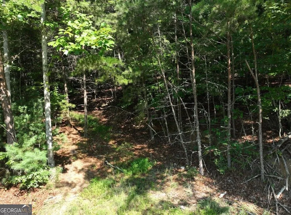 0 Popular DR Blairsville, GA 30512