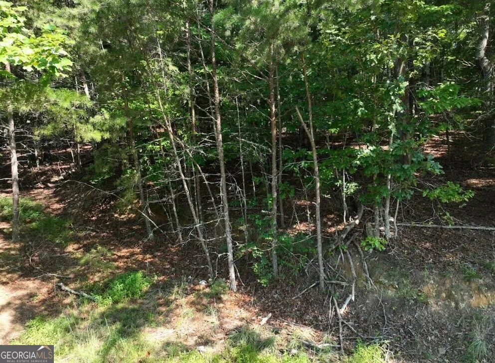 0 Popular DR Blairsville, GA 30512